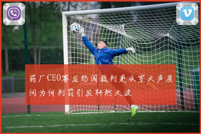 药厂CEO赛后怒闯裁判更衣室大声质问为何判罚引发轩然大波